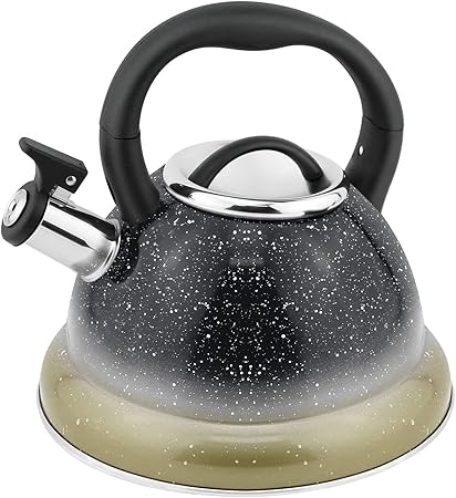 Steam kettle
