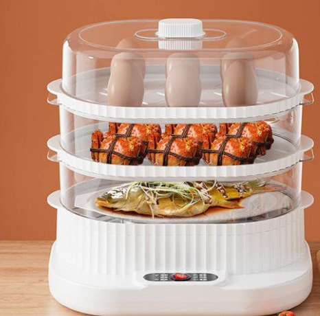 Food Steamer