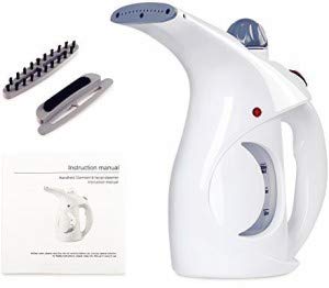Steam iron