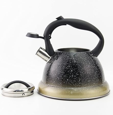 Steam kettle