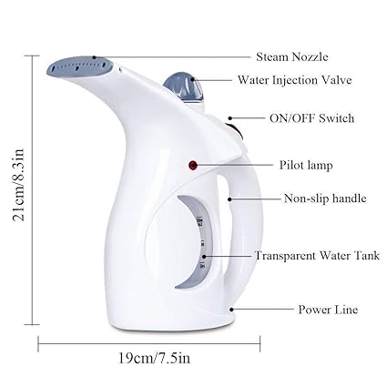 Steam iron